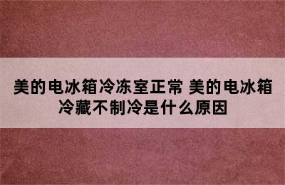 美的电冰箱冷冻室正常 美的电冰箱冷藏不制冷是什么原因